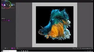 How to Use the Selection Tools in PhotoMirage