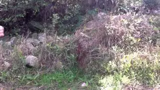 Escondidinhas