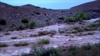 Utah Valley vs. New Mexico State Brawl