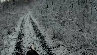Каракат,по первому снегу.