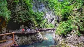 Visita al Parque Vintgar Gorge. (Eslovenia).