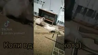 17 января 2024 г.