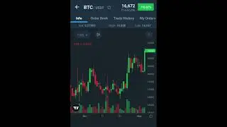 Bitcoin price update 03/01/23 