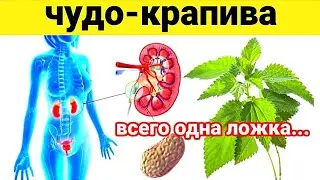 Всего одна ложка КРАПИВЫ и организм как Новый. Врач был в шоке от результата!