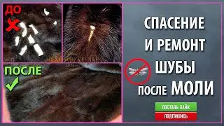 Restoration and repair of fur damaged by moths on a mink coat.