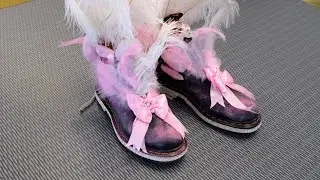 Gli stivali Dr. Martens reinterpretati dai giovani designer di NABA