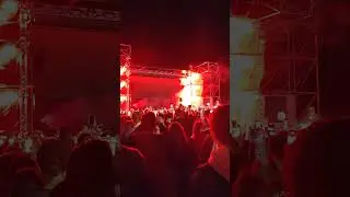 Пари Фест PHARAOH - Дико например