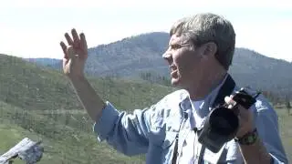 Fire effects in the interior of an eleven-year-old burn