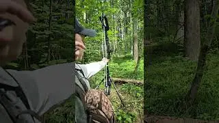 Archery SloMo! #нашиохотыирыбалки #archery #slowmotion #стрельбаизлука