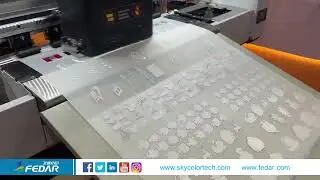 FD60 DTF Printer(2Heads 60cm) 