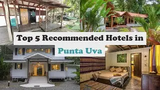 Top 5 Recommended Hotels In Punta Uva | Best Hotels In Punta Uva