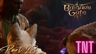 Two pets are better than 1 (Baldur's Gate 3) Part 28