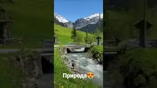 На 1 месяц туда😎