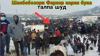 Шанбебозори Фархор нархи Бука барои бони ва фарбех барои куштан     21 января 2023 г.