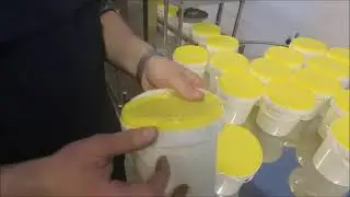 Automatic filling machine in buckets up to 1 liter with film sealing ATM-2T
