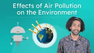 Effects of Air Pollution on the Environment - Earth Science for Kids!