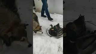 В тесноте, да не в обиде!