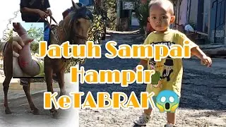 KESERUAN HAIKAL BERMAIN DI JALAN,KETEMU KUDA,TERJATUH DAN HAMPIR KETABRAK MOTOR😱