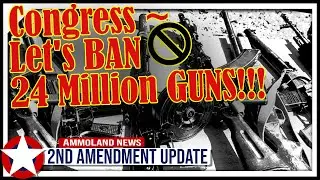 Congress Wants to Ban 24 Million Guns