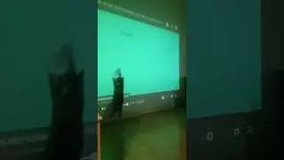 Учимся ловить мух. Пособие для кошек 😂