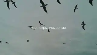 Послание самой себе
