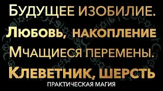 Мчащиеся перемены. Будущее. Изобилие. Любовь. Накопление. Клеветник.Шерсть.