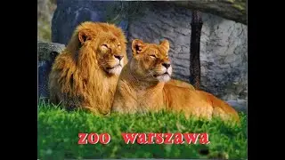 ZOO WARSAW AUTUMN 2023#ZOO WARSZAWA#MIEJSKI OGRÓD ZOOLOGICZNY W WARSZAWIE