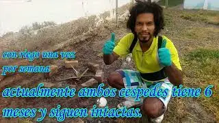 ¿Es posible plantar césped en el desierto? convierte la zona mas árida del planeta en un jardín