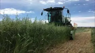 W260 & 500R working 10T Oats