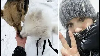 Пропажа нашлась😅 Наш денёк🦮🙂