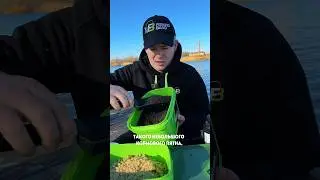 Прикормка для холодной воды! Как поймать карпа весной?