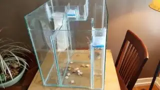 Custom Biocube 29 Sump (Pt 1)