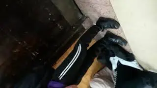 Please someone call the FBI