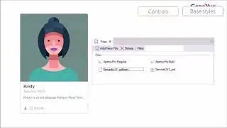 User Control Object