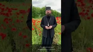 Безразличие к Богу