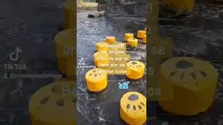 🤠 Solo agradecer por las lluvias.