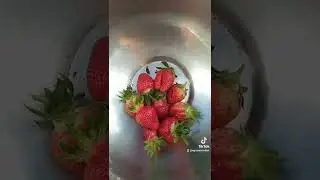 клубника перша