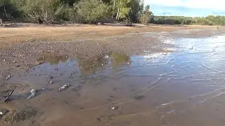 За серебром по дну обмелевшего водохранилища.