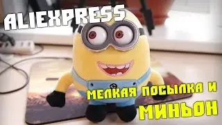 Миньон и мелкая посылка из Алиэкспресс. Распаковка посылки из Китая 