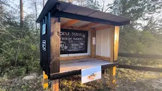 We opened an HONOR SYSTEM Farmstand! Flowers & Eggs Everyday!
