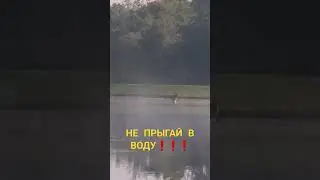 Шок.Не прыгай в воду