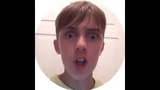 шгш тг