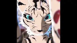 Pet ASMR