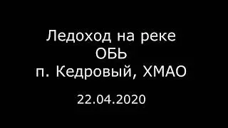 Ледоход 22 04 2020. Река ОБЬ, п. Кедровый, ХМАО