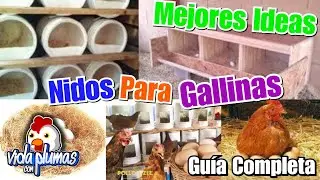 Ideas for making homemade nests. How to make chicken nests? Tips (Very Well Explained) Ideal Nest