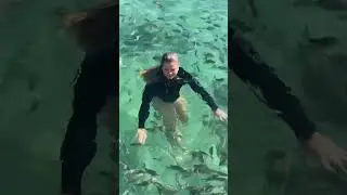 Uma mordidinha básica, mas tudo bem. 👍🏻