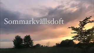 Sommarkvällsdoft (med text) | Sommarvisa | Mel: Hösommarnattsvisa av Olle Adolphson