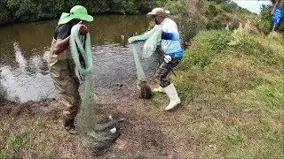 Catching Mullet At Beacon 42 Boat Ramp (Part 1 of 2)