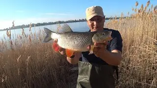 Fishing on the Volga Fishing with Donka Zakidushki Fishing on the Current Fishing 2021 Chub