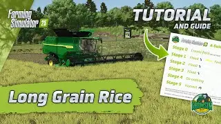 How to Grow Long Grain Rice - A Farming Simulator 25 Tutorial